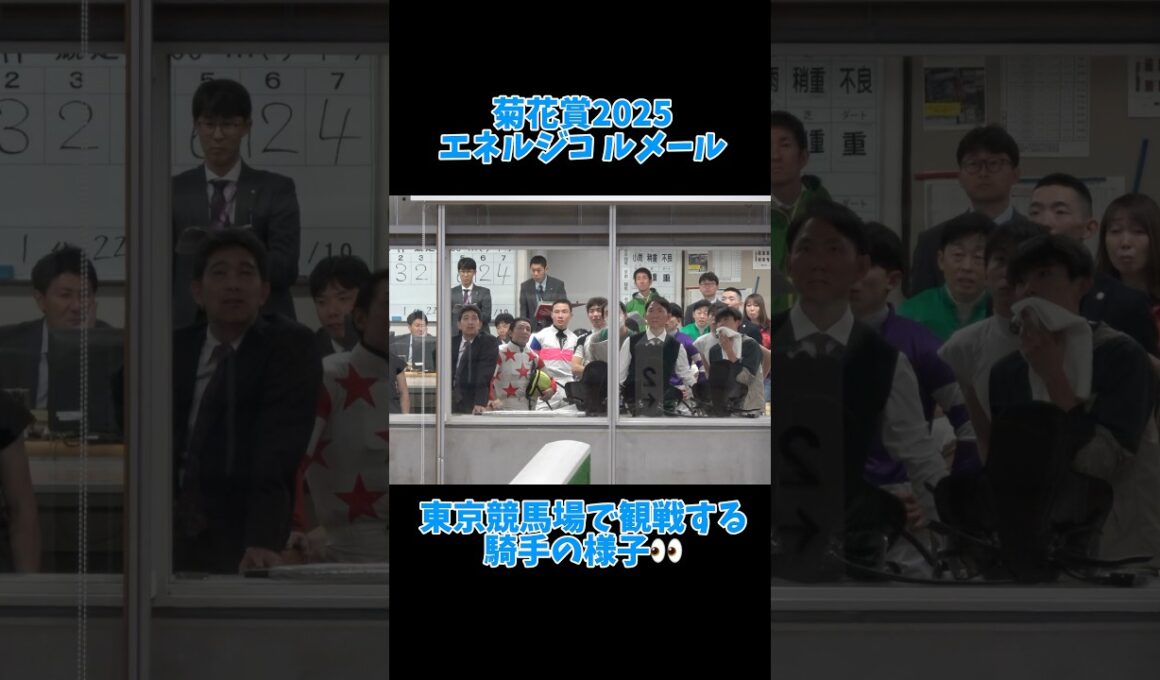 【エネルジコ】菊花賞を観戦する東京競馬場の騎手の様子👀 #shorts #ルメール #内田博幸