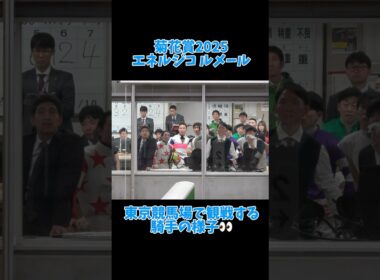 【エネルジコ】菊花賞を観戦する東京競馬場の騎手の様子👀 #shorts #ルメール #内田博幸