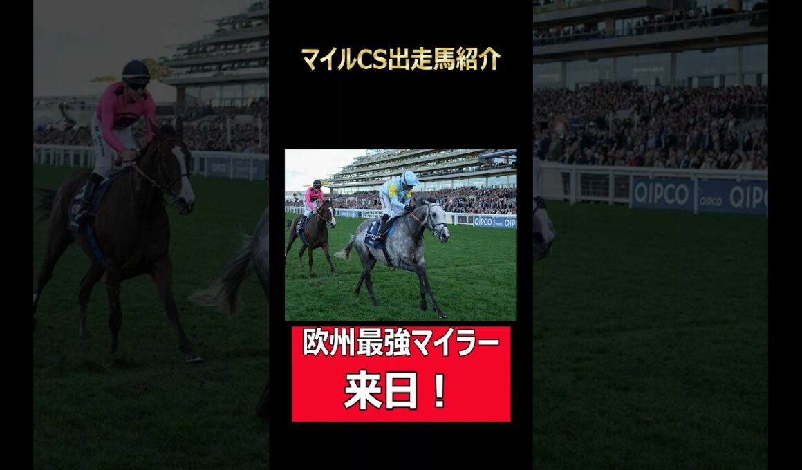 マイルCSに欧州最強馬が来日！#競馬 #マイルチャンピオンシップ #マイルCS #チャリン #ウマ娘 #タイキシャトル #ロマンチックウォリアー