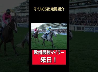 マイルCSに欧州最強馬が来日！#競馬 #マイルチャンピオンシップ #マイルCS #チャリン #ウマ娘 #タイキシャトル #ロマンチックウォリアー