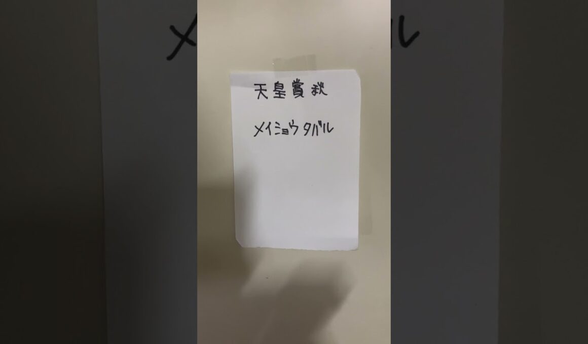 ヨッシーの競馬予想　天皇賞秋