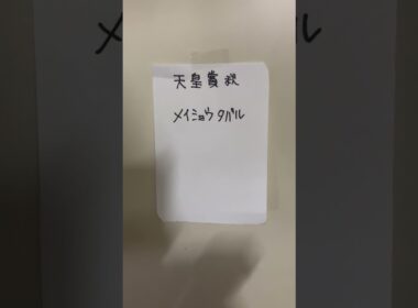 ヨッシーの競馬予想　天皇賞秋