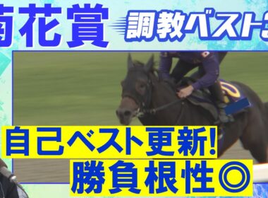 【１６週連続調教診断上位馬が激走中！】エネルジコ、エリキング、ショウヘイ・・・競馬エイト・高橋賢司トラックマンの調教解説＜菊花賞(ＧⅠ)＞