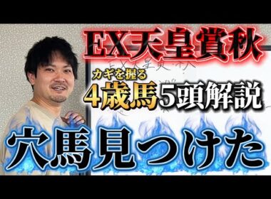 【天皇賞秋予想】激アツ馬がいます