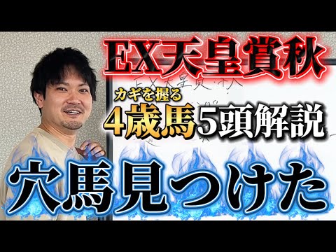 【天皇賞秋予想】激アツ馬がいます