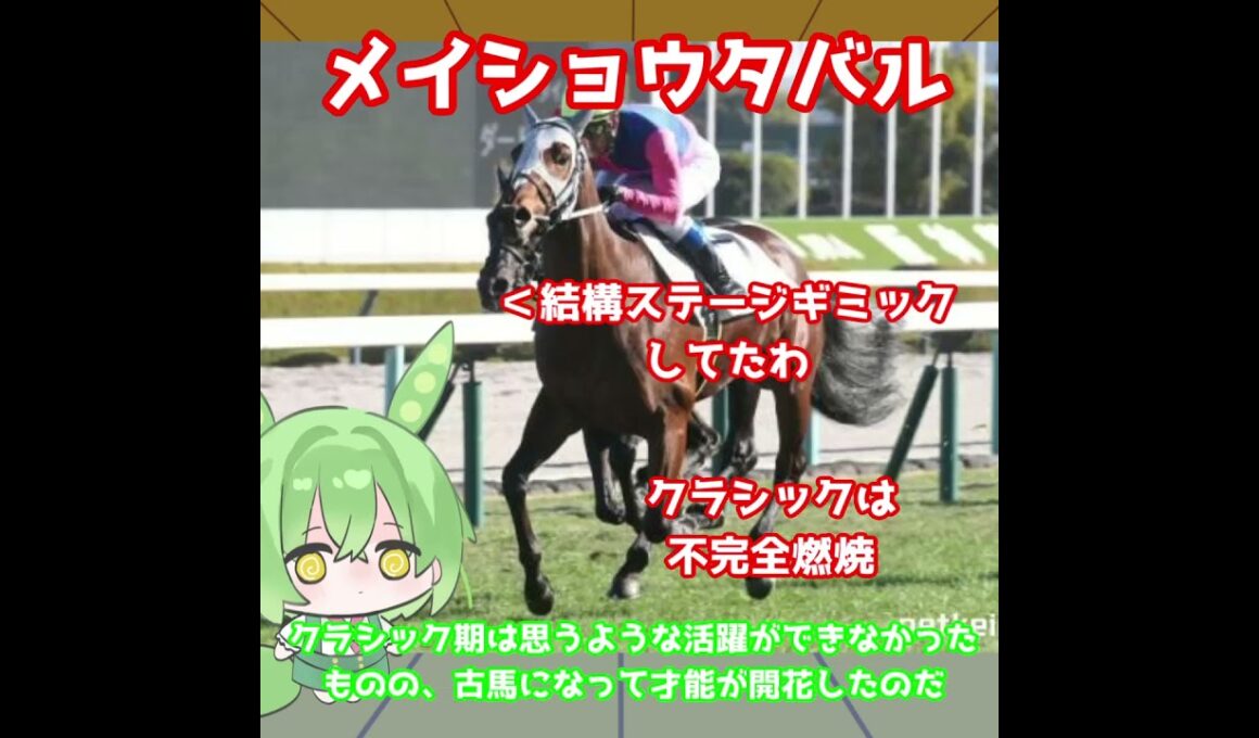 【天皇賞秋出走馬紹介】メイショウタバル　今回も大逃げでレースを支配する！グランプリホースとして挑むG1！【天皇賞秋2025】#競馬 #ずんだもん #shorts