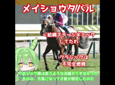 【天皇賞秋出走馬紹介】メイショウタバル　今回も大逃げでレースを支配する！グランプリホースとして挑むG1！【天皇賞秋2025】#競馬 #ずんだもん #shorts
