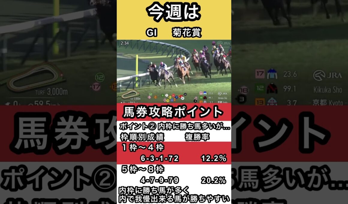 #菊花賞 馬券攻略のポイントはコレ #shorts