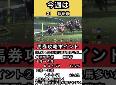 #菊花賞 馬券攻略のポイントはコレ #shorts