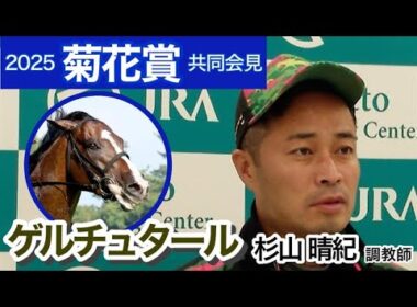 【菊花賞2025】ゲルチュタールの杉山晴紀調教師は距離適性に「性格面でいえば全く問題ないです」…ＪＲＡ共同会見