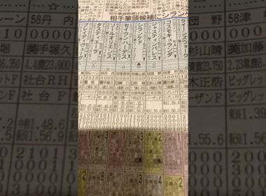 競馬予想🏇天皇賞・秋　◎ロード、○マスカレ、タバル　　#中央競馬予想