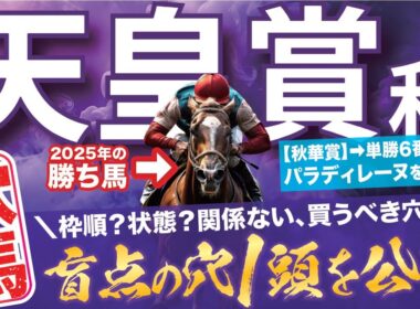 天皇賞秋 2025【穴馬/予想】３年連続の「指名馬激走へ」打倒４強！盲点の「☆穴馬」が夢を掴む！