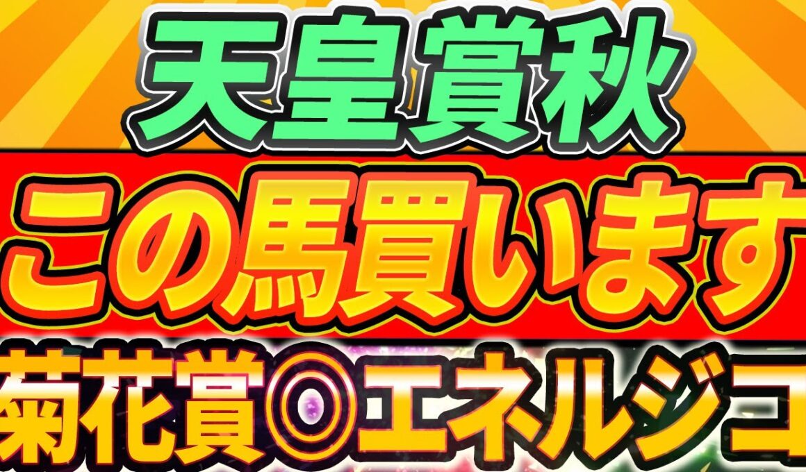 【天皇賞秋2025】3歳馬以外に買いたい馬複数。『7年続いているアレ』実力拮抗、大混戦【Part1】