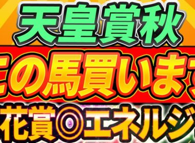 【天皇賞秋2025】3歳馬以外に買いたい馬複数。『7年続いているアレ』実力拮抗、大混戦【Part1】