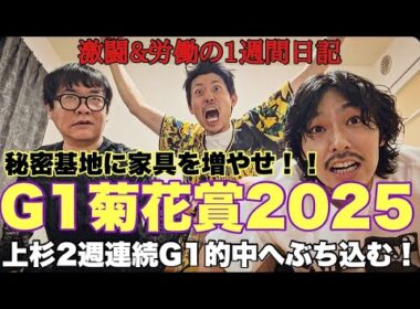 【日常】勝負のGⅠ菊花賞までの一週間激闘日記。