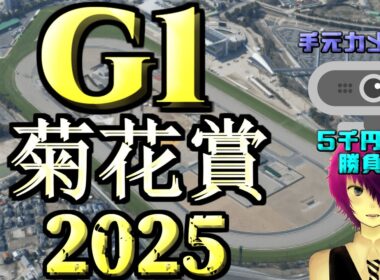 【競馬 同時視聴】軍資金5,000円勝負！！ウマ娘から入った僕が楽しむ&当てたい！！！【2025年 G1 菊花賞】