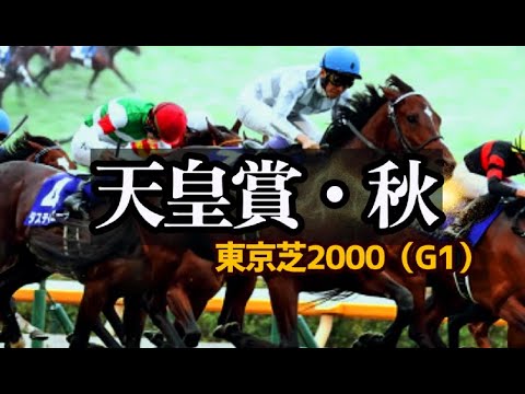 【競馬データ】2025 天皇賞・秋「有力馬の明暗を分けるコース適性！東京芝の種牡馬データに刮目せよ！」