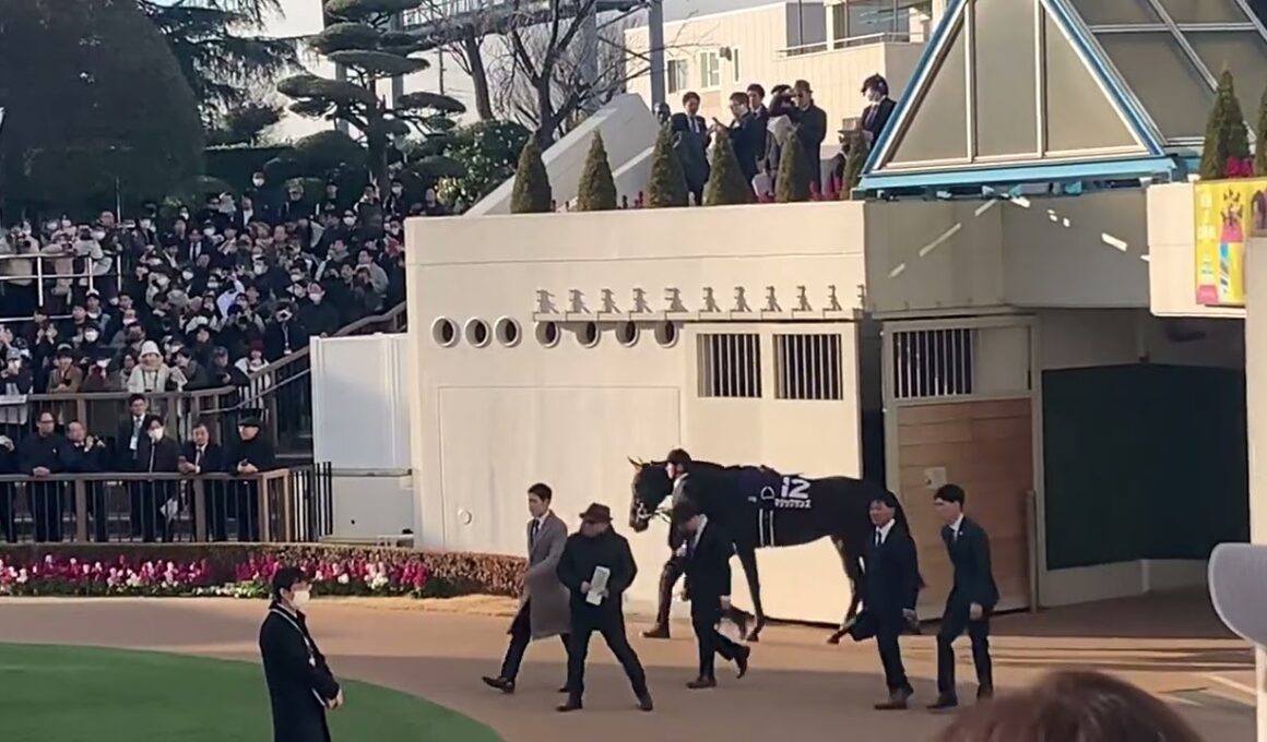 ホープフルステークス２０２４ パドック登場