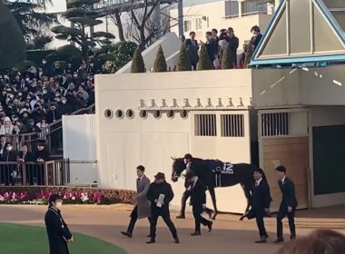 ホープフルステークス２０２４ パドック登場