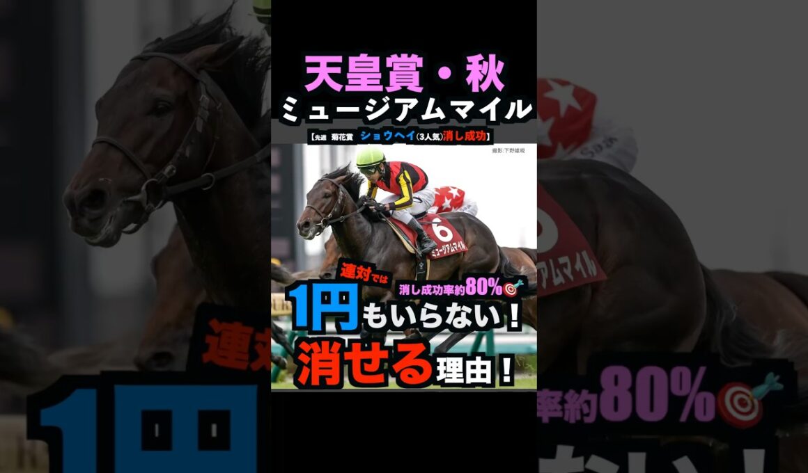 【天皇賞秋2025】1円もいらない！ミュージアムマイルを連対で消せる理由！#天皇賞秋 #天皇賞秋2025 #ミュージアムマイル #うまログ #ウマキんグ #競馬予想tv #競馬予想 #shorts