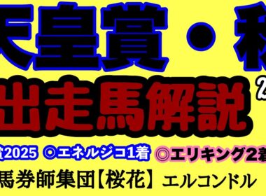 エルコンドル氏の天皇賞秋2025出走馬解説！！秋のビッグレースに３歳馬から古馬まで実力ある豪華メンバー集結！人気集める３歳馬は果たして古馬を撃破できるのか？！
