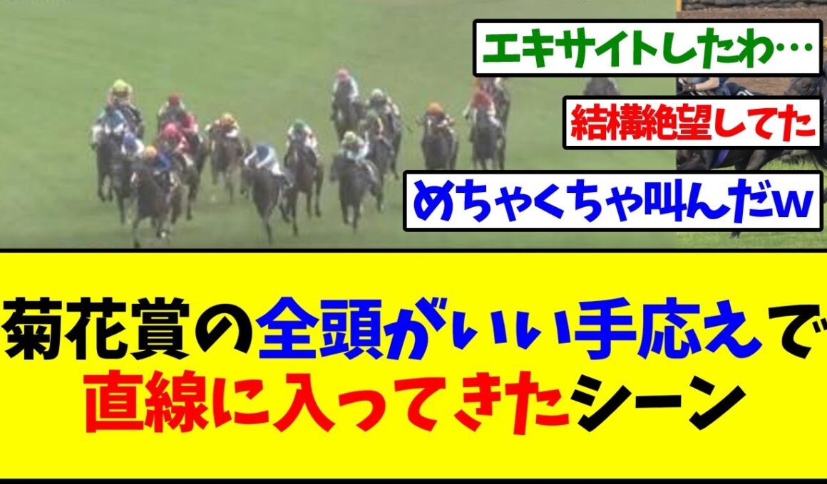 【菊花賞2025】菊花賞の全頭がいい手応えで直線に入ってきたシーン【反応集】
