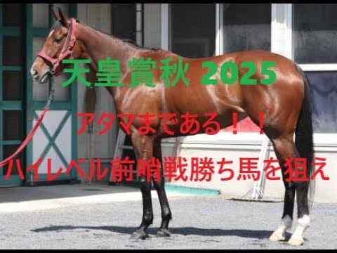 天皇賞秋 2025 アタマまである！！ハイレベル前哨戦を勝ち馬を狙え