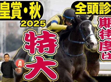 《東スポ競馬ニュース》【天皇賞・秋2025】全頭診断！激推しなのにSじゃない…？B評価なのに面白い…？それぞれ推せる理由も含め全15頭を競馬記者が徹底解説します！！！