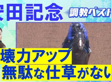 「柔らかいフォーム、ストライドの伸び◎」ソウルラッシュ、ジャンタルマンタル、ウォーターリヒト・・・競馬エイト・高橋賢司トラックマンの調教解説＜安田記念(ＧⅠ)＞