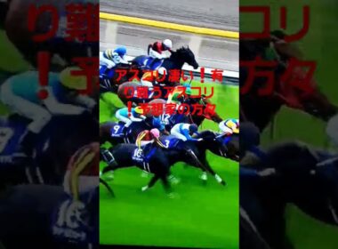 ヴィクトリアマイル2025 アスコリピチェーノ　凄い