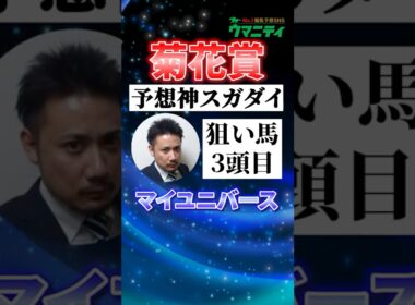 【菊花賞2025】予想神スガダイの注目馬③「マイユニバース」 #菊花賞 #競馬予想 #マイユニバース 　#shorts