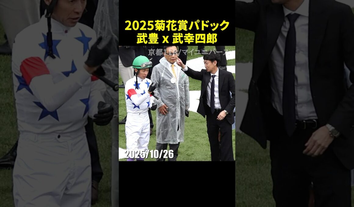武豊騎手と武幸四郎調教師の2025菊花賞パドックのようす #菊花賞 #武豊 #武幸四郎 #現地映像 #競馬 #shorts