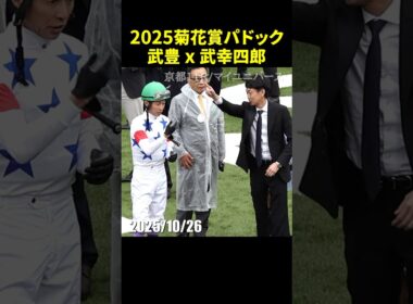 武豊騎手と武幸四郎調教師の2025菊花賞パドックのようす #菊花賞 #武豊 #武幸四郎 #現地映像 #競馬 #shorts