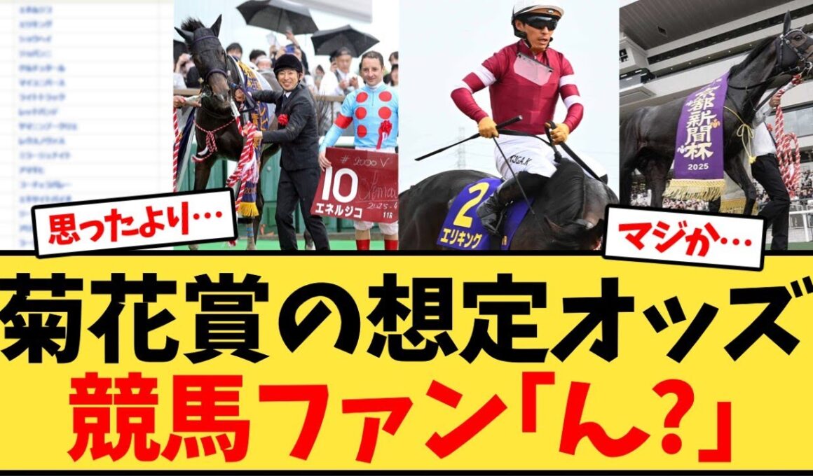 【菊花賞】菊花賞の想定オッズ競馬ファン｢ん?｣【競馬反応集】