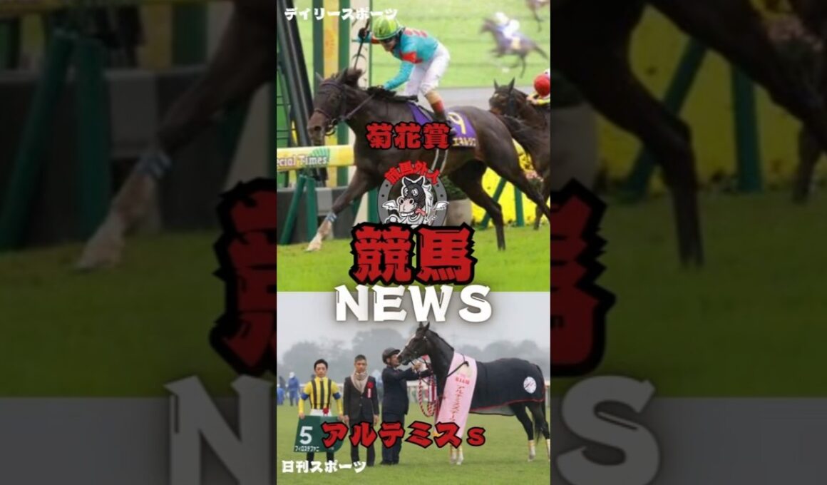 菊花賞・アルテミススS！結果速報「競馬NEWS」！🏇競馬外人！