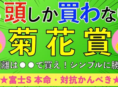 【2025 菊花賞】3000mで波乱が起きる!? 大穴馬ピックアップ！！