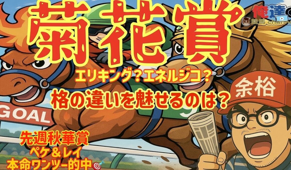 【菊花賞2025】データ×展開×調教 #競馬予想tv