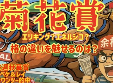 【菊花賞2025】データ×展開×調教 #競馬予想tv