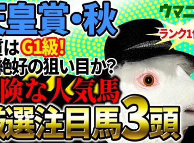 【天皇賞秋2025】全レース先出し2025年85万超プラス収支！「霧プロ」の厳選注目馬＆危険な人気馬を特別公開！
