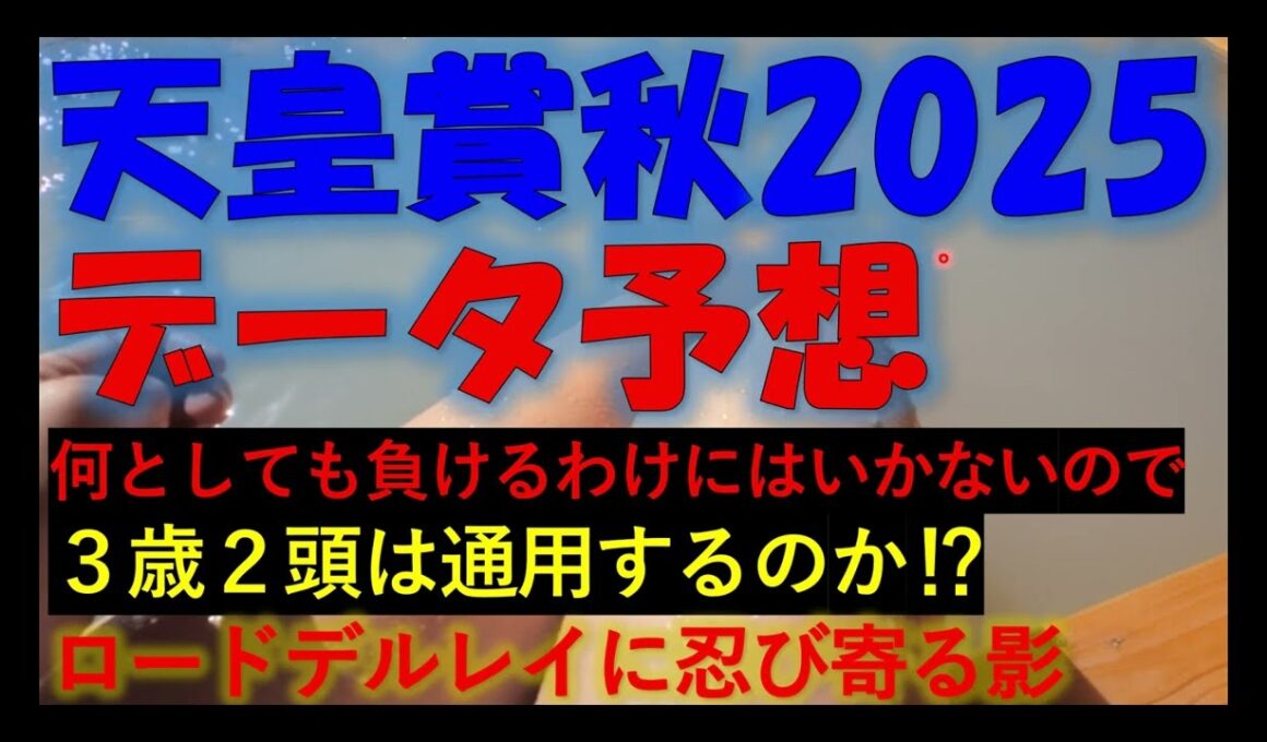 天皇賞秋2025　データ予想