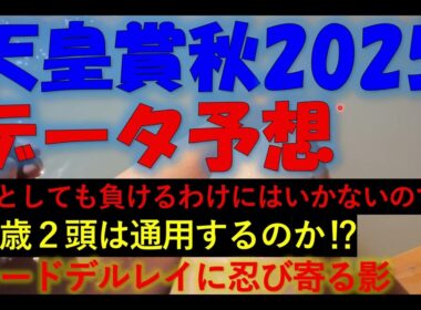 天皇賞秋2025　データ予想
