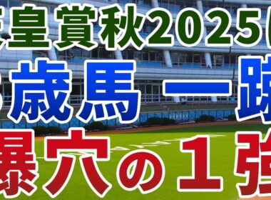 天皇賞秋2025【絶対軸1頭】公開！メイショウタバルのペースを徹底検証！３歳勢をまとめて負かす大穴の１強は？