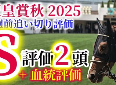 【天皇賞秋 2025】強豪集う！タスティエーラ、マスカレードボール、ミュージアムマイルが秋の府中を激走！！中距離路線を統一するのはこの馬！！【1週前追い切り評価+血統評価】