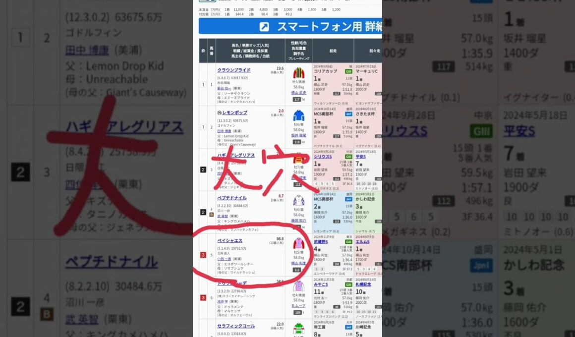 #70   10万馬券チャレンジ。  GⅠチャンピオンズカップ