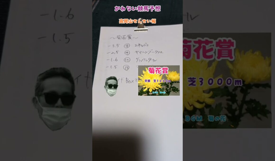 かねない競馬予想【菊花賞】高尾山せんせい編