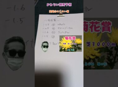 かねない競馬予想【菊花賞】高尾山せんせい編