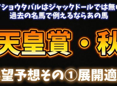 天皇賞・秋展望予想① メイショウタバルの秘密