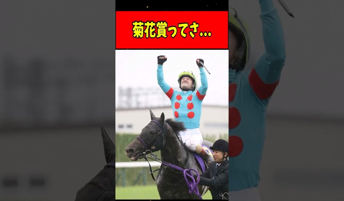 【競馬】菊花賞ってさ... #shorts