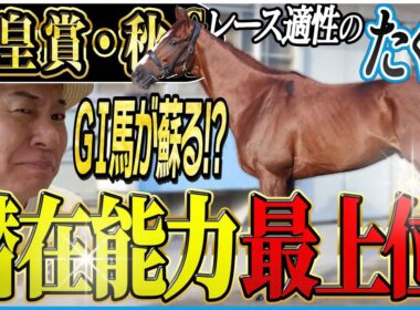 【天皇賞秋2025】あのＧⅠ馬に大チャンス到来！？太組不二雄が秋の盾を狙うメンバーをジャッジ！《東スポ競馬》