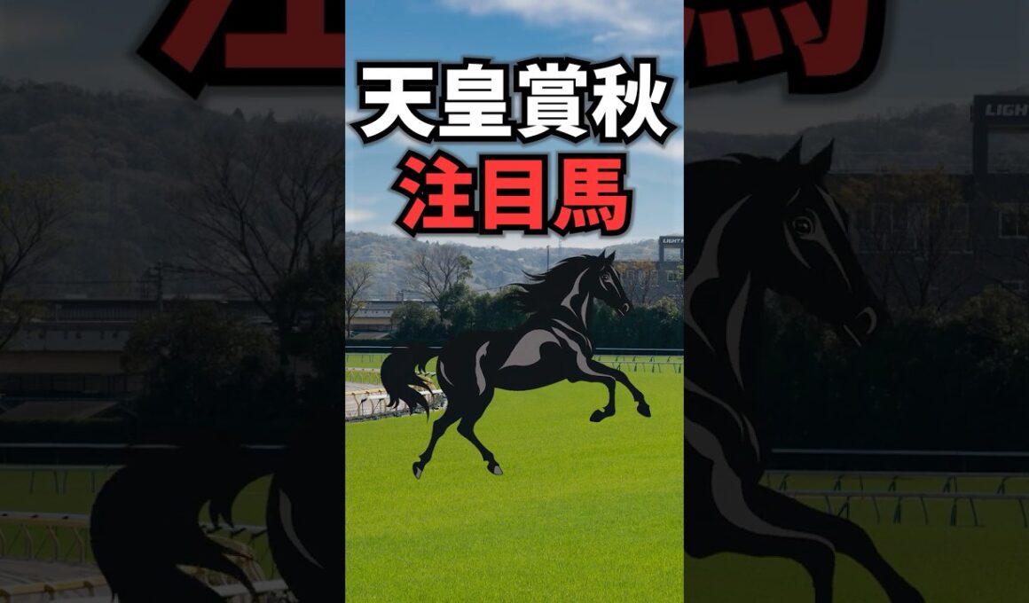 【天皇賞・秋2025】天皇賞秋に出走する注目馬を紹介！！ #競馬 #天皇賞秋2025 #天皇賞秋 #shorts